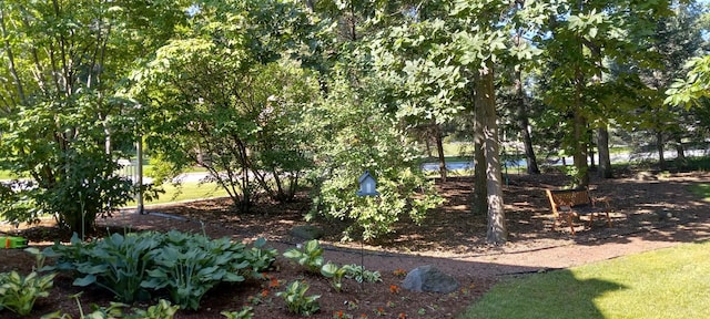 3048 Brampton Ln, Dyer, IN 46311 - view of yard
