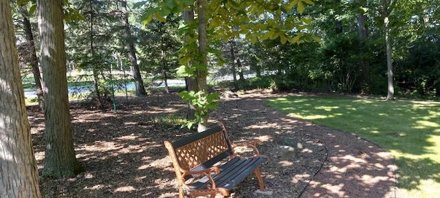 3048 Brampton Ln, Dyer, IN 46311 - view of property's community with a yard