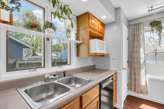2203 E Pennsylvania Ave, Urbana, IL 61802 - kitchen featuring black dishwasher, a sink, dark wood-style flooring, and plenty of natural light