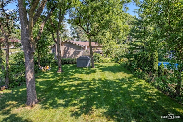 25W704 Jewell Rd, Wheaton, IL 60187 - view of green lawn with a storage unit