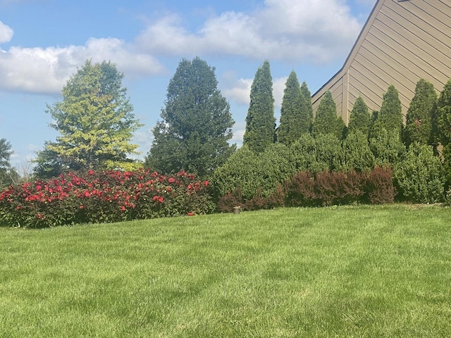 view of yard