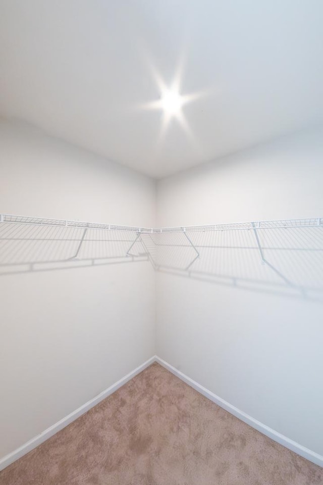spacious closet with light carpet