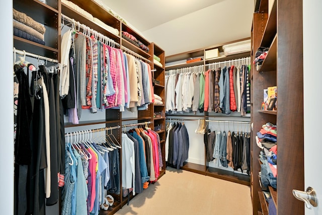 view of walk in closet