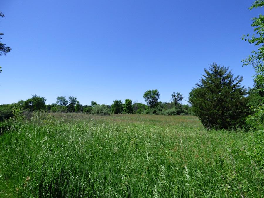 20 Barrington Hills Rd, Barrington Hills, IL 60010 - photo 1