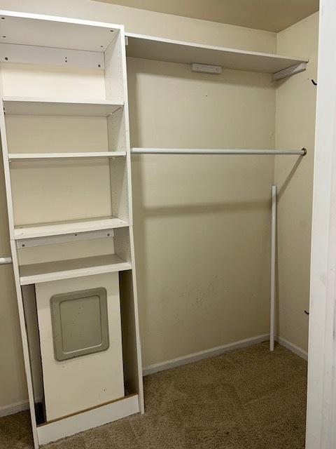 986 Rossmere Ct, Naperville, IL 60540 - view of closet