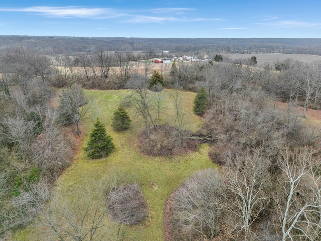 drone / aerial view with a rural view