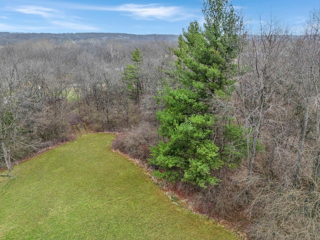 bird's eye view featuring a view of trees