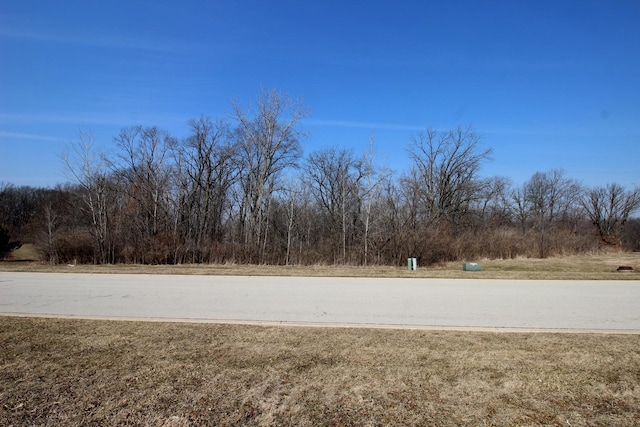 1193 Georgias Way, New Lenox, IL 60451 - photo 1