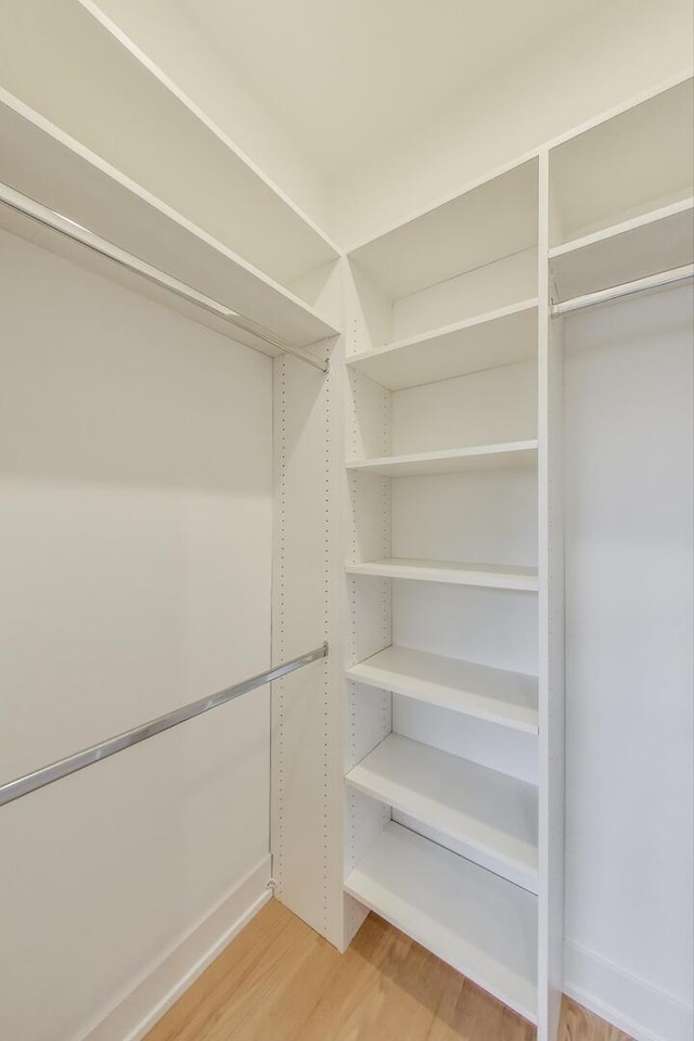 spacious closet featuring light wood finished floors