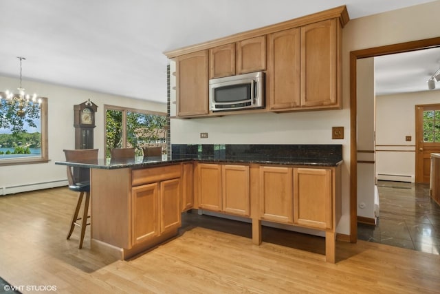 kitchen featuring a baseboard heating unit, stainless steel microwave, a wealth of natural light, and a baseboard radiator