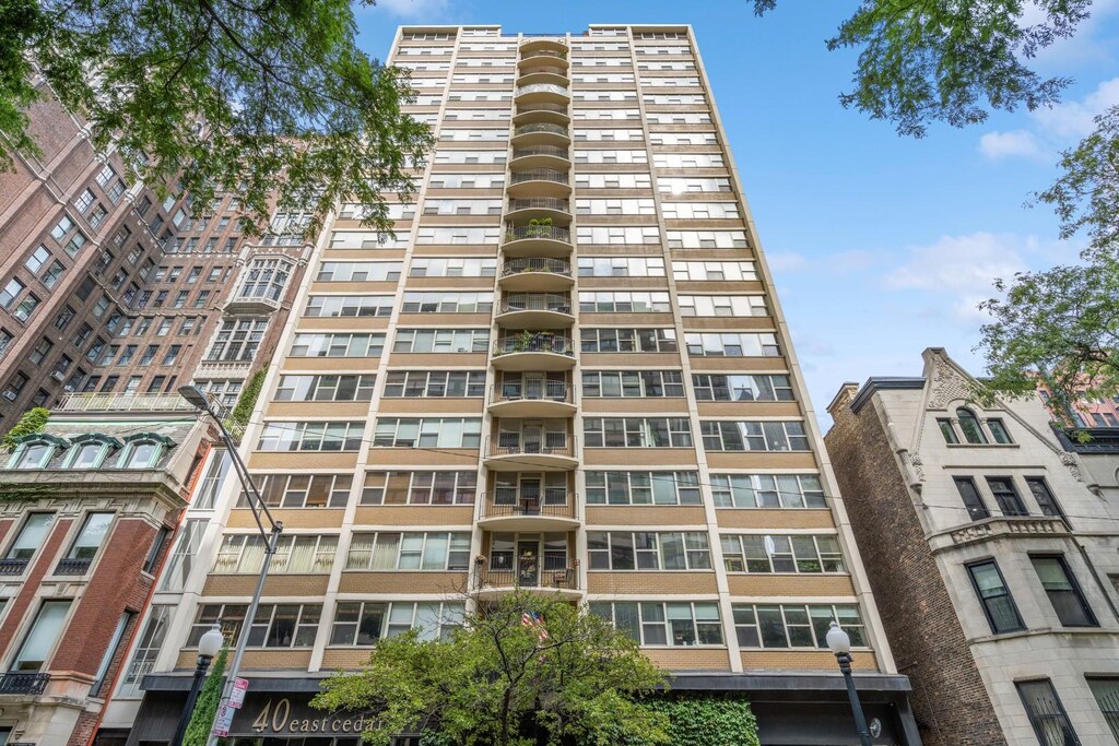 40 E Cedar St Unit 4D, Chicago, IL 60611 - photo 1