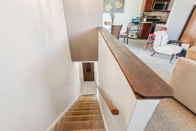 stairway with carpet floors