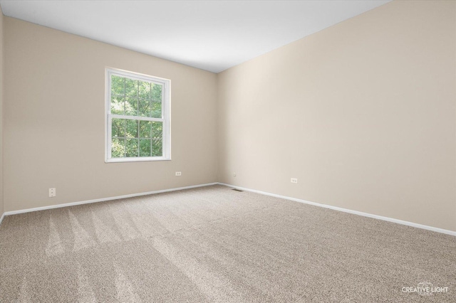64 Wildwood Trl, Cary, IL 60013 - photo 17