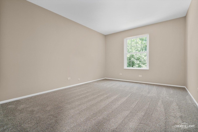 64 Wildwood Trl, Cary, IL 60013 - photo 19