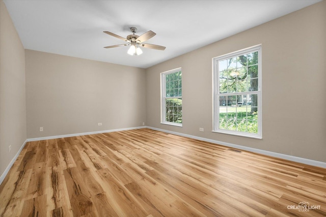 64 Wildwood Trl, Cary, IL 60013 - photo 4