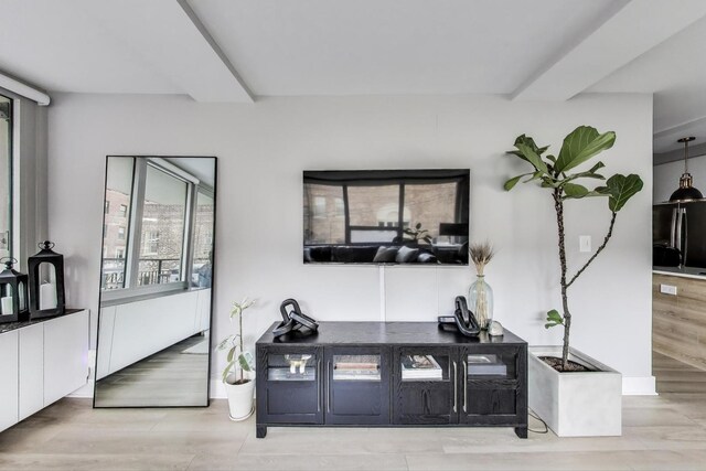 living room with wood finished floors