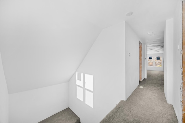 hall with vaulted ceiling and carpet floors