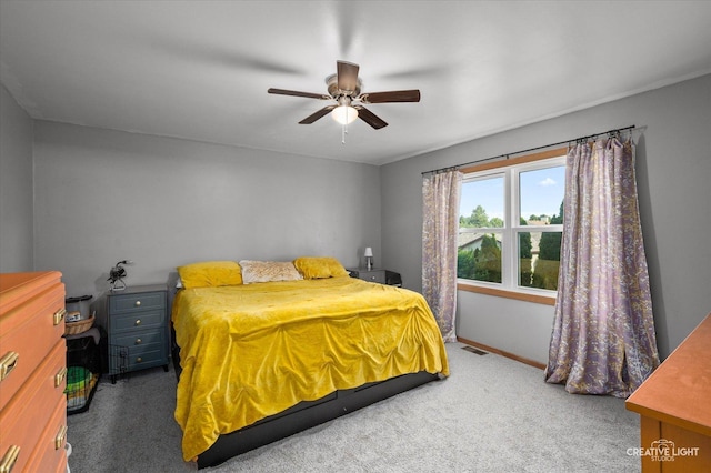 6609 Neilis Dr, Plainfield, IL 60586 - photo 7