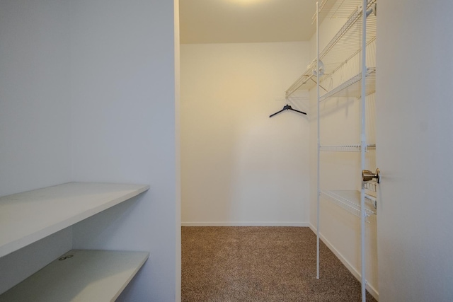 spacious closet with carpet floors