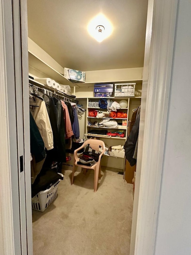 1927 Mission Hills Ln, Northbrook, IL 60062 - walk in closet with carpet