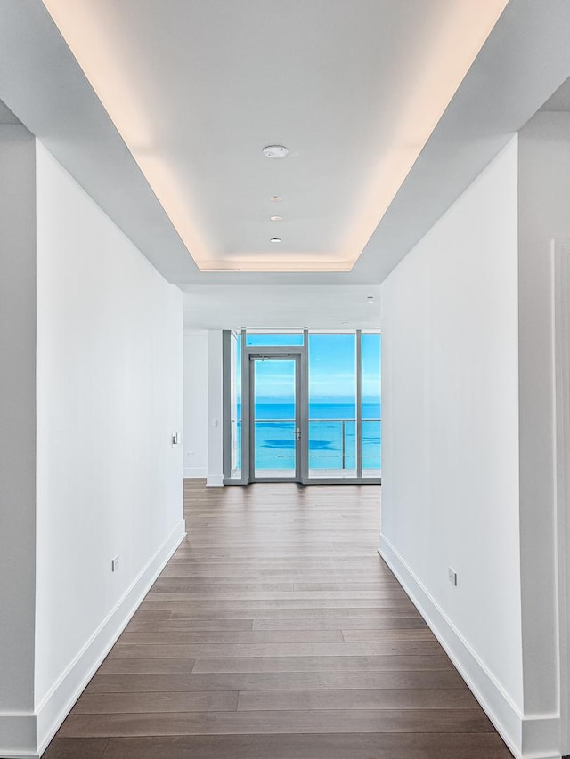 363 E Wacker Dr Unit 6306, Chicago, IL 60601 - unfurnished room with a raised ceiling, wood finished floors, baseboards, and a water view