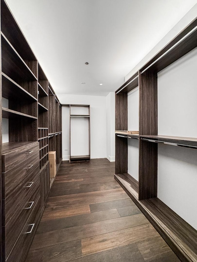 363 E Wacker Dr Unit 6306, Chicago, IL 60601 - spacious closet with dark wood-style floors