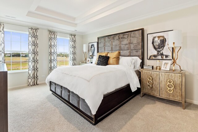 3905 Neubauer Cir Unit 204, Lindenhurst, IL 60046 - bedroom featuring baseboards, carpet flooring, and a tray ceiling