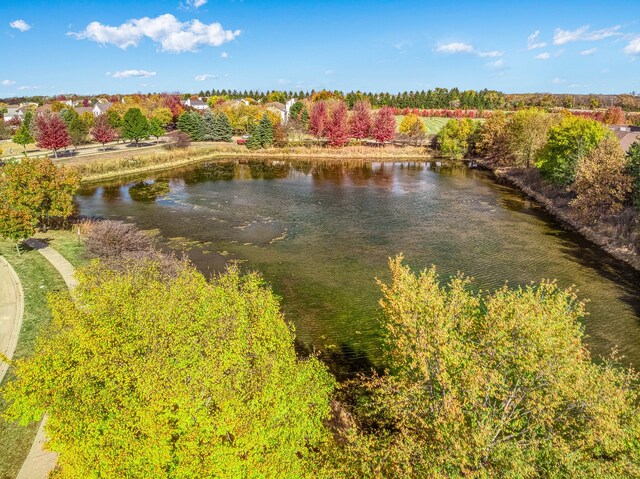 3905 Neubauer Cir Unit 204, Lindenhurst, IL 60046 - water view