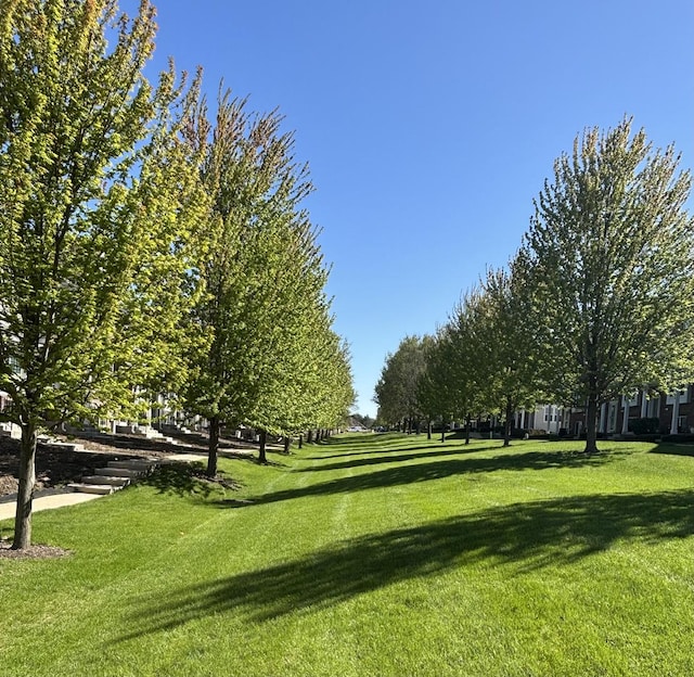 3905 Neubauer Cir Unit 204, Lindenhurst, IL 60046 - view of property's community with a yard