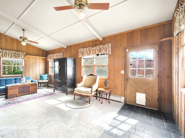173 Pomeroy Ave, Crystal Lake, IL 60014 - sitting room featuring ceiling fan, baseboard heating, and wooden walls