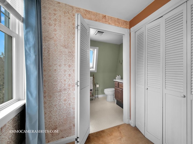 173 Pomeroy Ave, Crystal Lake, IL 60014 - bathroom featuring a closet and vanity