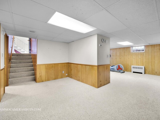 173 Pomeroy Ave, Crystal Lake, IL 60014 - basement with a paneled ceiling, wooden walls, carpet flooring, stairway, and wainscoting