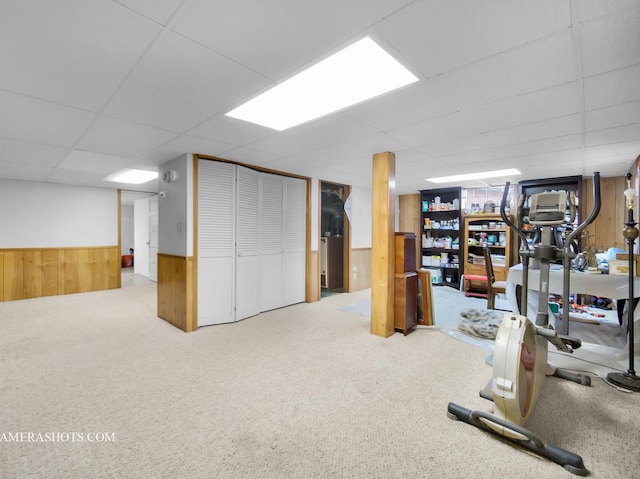 173 Pomeroy Ave, Crystal Lake, IL 60014 - finished basement featuring a paneled ceiling, wooden walls, carpet flooring, and a wainscoted wall