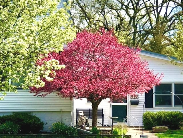 173 Pomeroy Ave, Crystal Lake, IL 60014 - view of property exterior