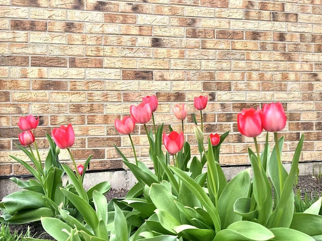 exterior details featuring brick siding