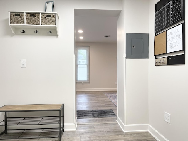 1299 Riverlane Dr, Bradley, IL 60915 - hall featuring electric panel, baseboards, and wood finished floors