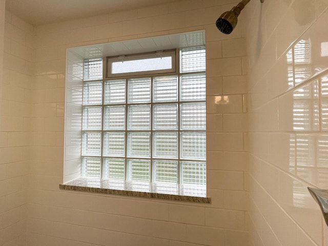 1299 Riverlane Dr, Bradley, IL 60915 - room details with a shower