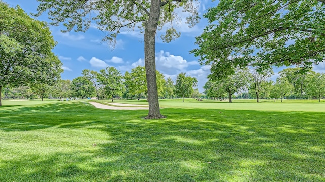view of home's community featuring a lawn