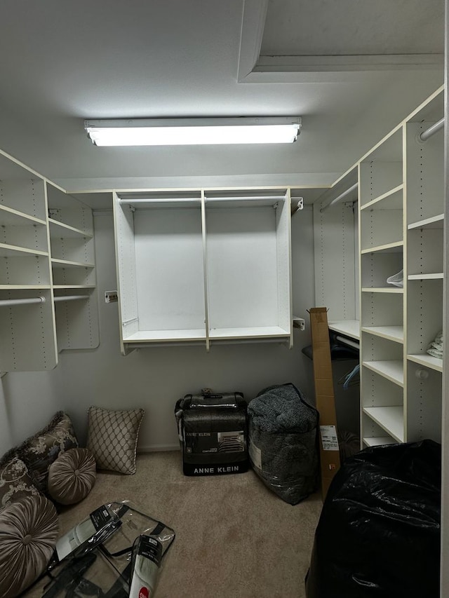 spacious closet with carpet floors
