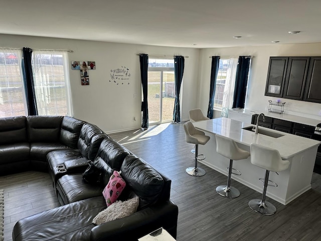 living room featuring baseboards and dark wood-style flooring
