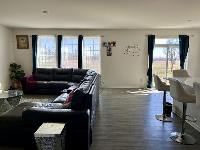 living room with a wealth of natural light, baseboards, and wood finished floors
