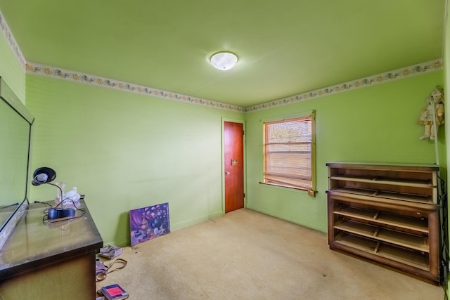 miscellaneous room with carpet floors