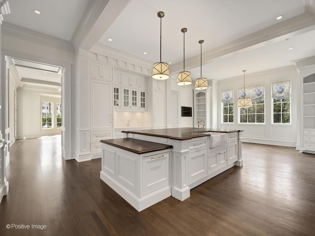330 S County Line Rd, Hinsdale, IL 60521 - kitchen featuring a sink, a decorative wall, crown molding, dark wood-style flooring, and white cabinetry