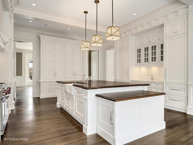 330 S County Line Rd, Hinsdale, IL 60521 - kitchen featuring dark wood-style floors, a sink, a decorative wall, white cabinets, and glass insert cabinets