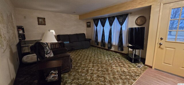 508 N Fayette, Carthage, IL 62321 - view of living area