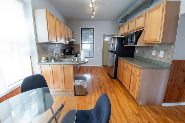 1304 N Campbell Ave, Chicago, IL 60622 - kitchen with under cabinet range hood, tasteful backsplash, a sink, light wood finished floors, and appliances with stainless steel finishes