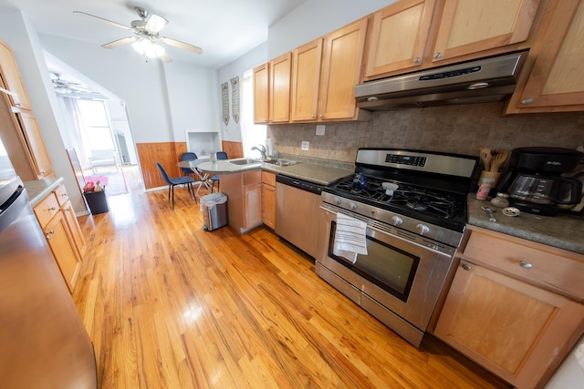 1304 N Campbell Ave, Chicago, IL 60622 - kitchen with under cabinet range hood, a ceiling fan, appliances with stainless steel finishes, and plenty of natural light
