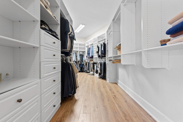 spacious closet with light wood-type flooring