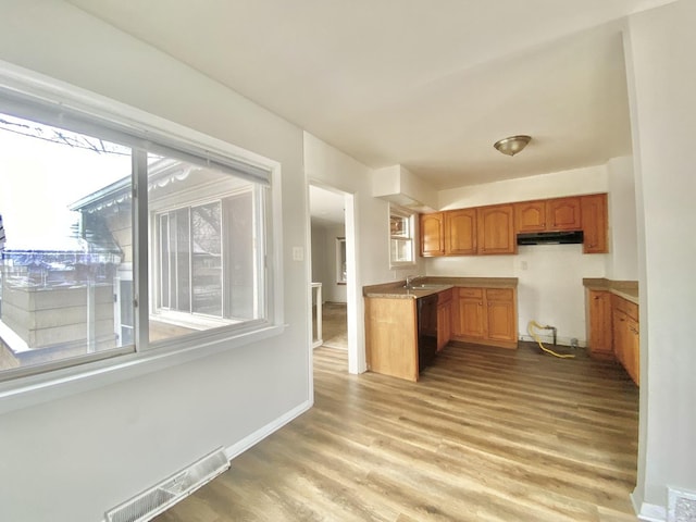 351 Clyde Ave, Calumet City, IL 60409 - kitchen with brown cabinetry, under cabinet range hood, light wood-type flooring, dishwasher, and visible vents