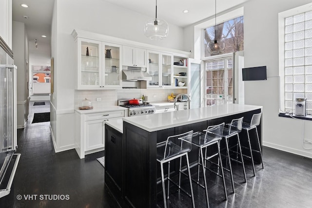 kitchen with under cabinet range hood, white cabinetry, range, and tasteful backsplash